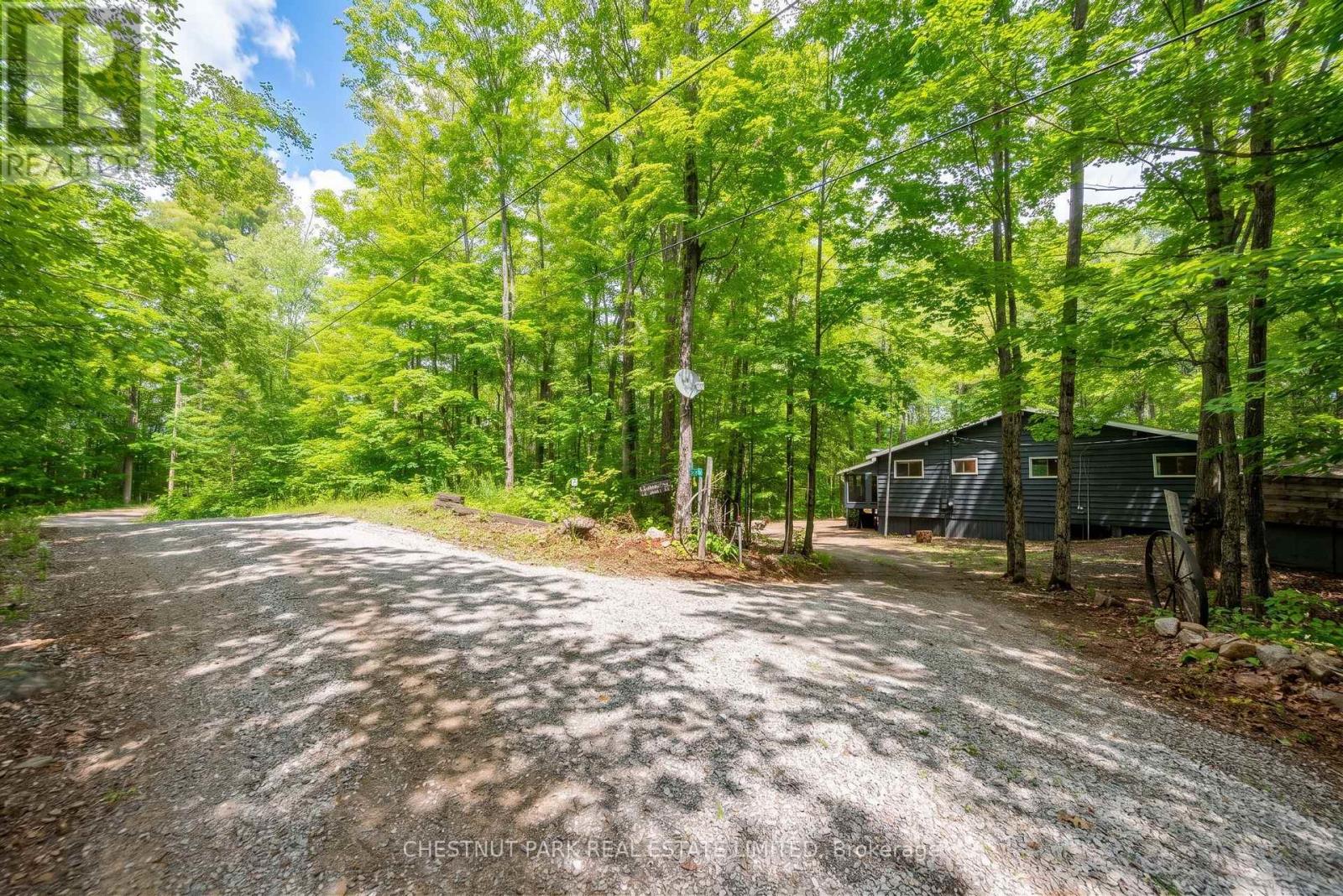 110 Fire Route 367, Trent Lakes, Ontario  K0M 2A0 - Photo 4 - X13663946