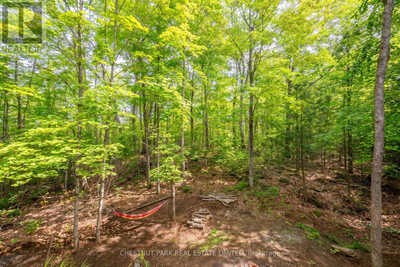 110 Fire Route 367, Trent Lakes, Ontario  K0M 2A0 - Photo 49 - X13663946