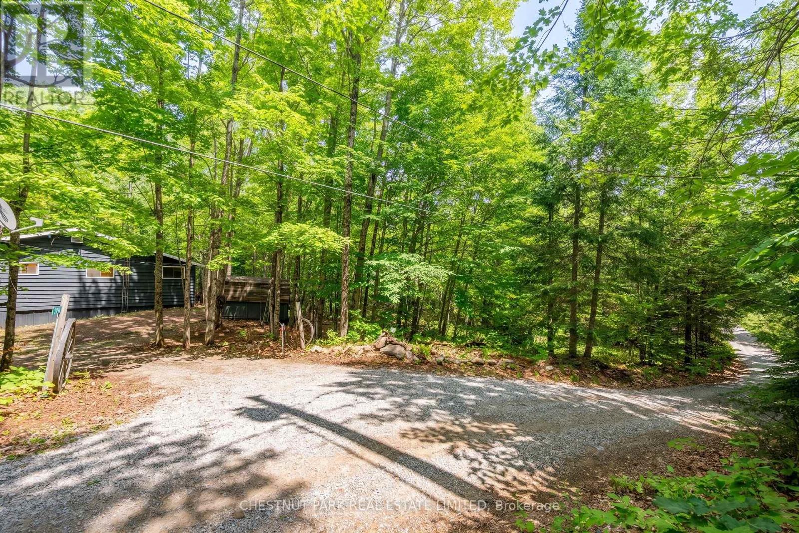 110 Fire Route 367, Trent Lakes, Ontario  K0M 2A0 - Photo 5 - X13663946