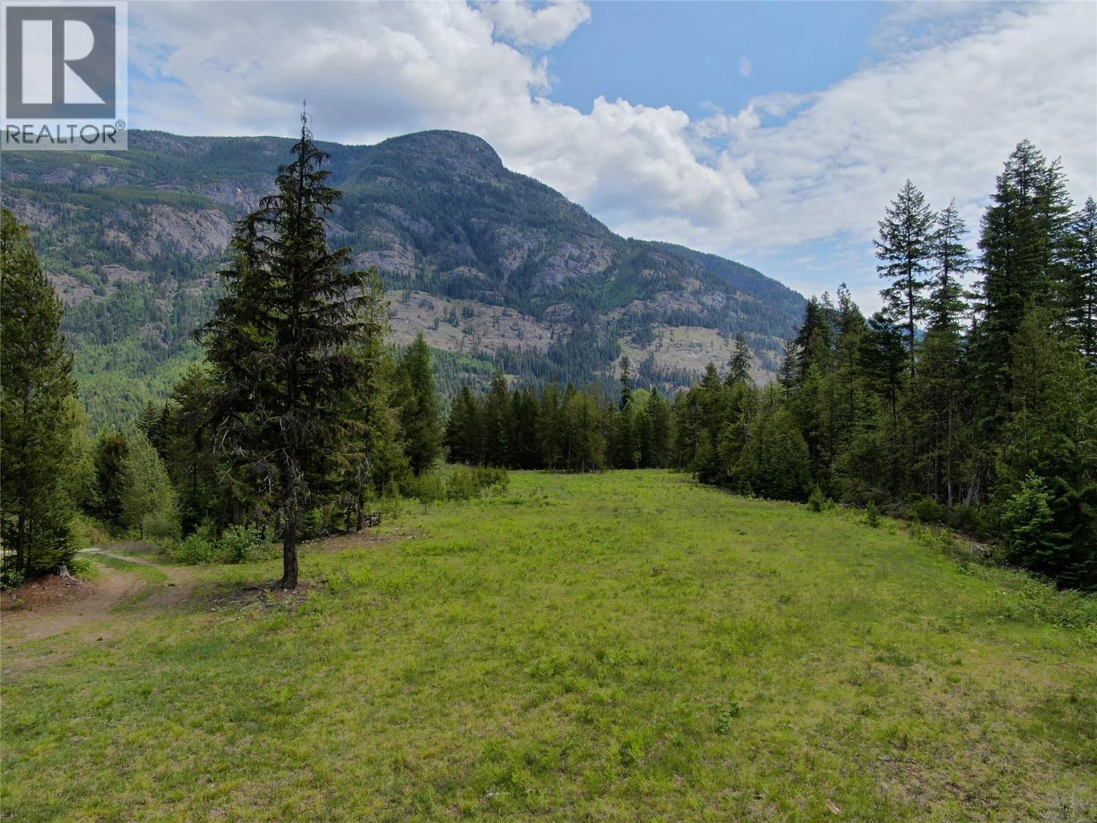 3809 Passmore Upper Road, Passmore, British Columbia  V1L 2J0 - Photo 11 - 10388519