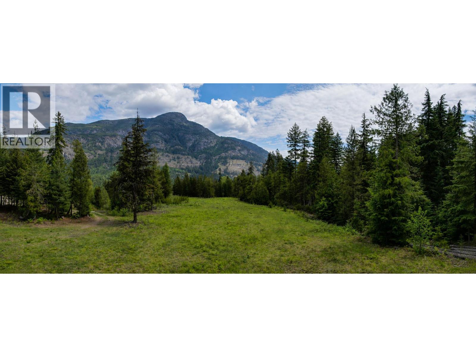 3809 Passmore Upper Road, Passmore, British Columbia  V1L 2J0 - Photo 13 - 10388519