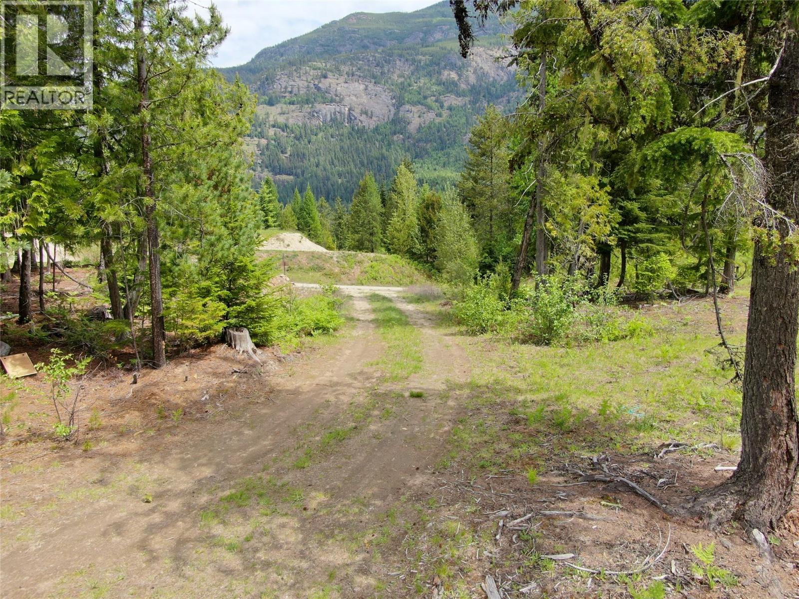 3809 Passmore Upper Road, Passmore, British Columbia  V1L 2J0 - Photo 15 - 10388519