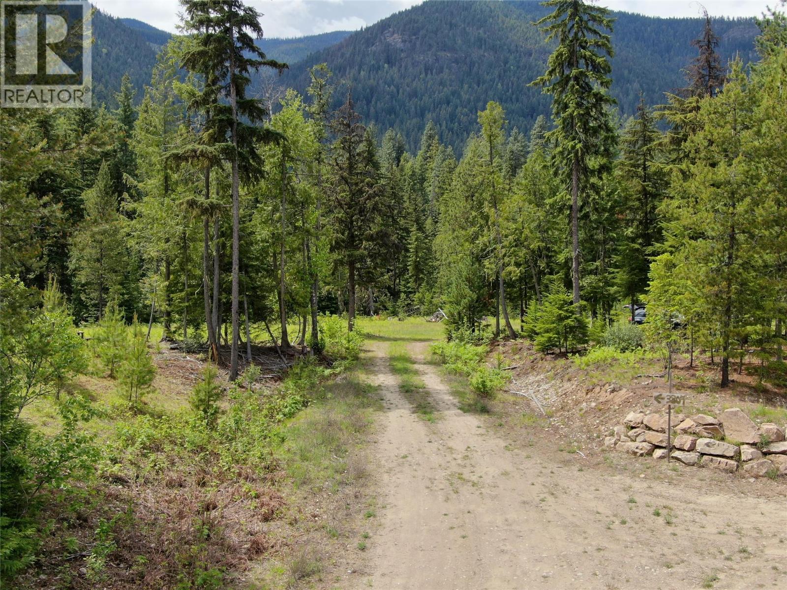 3809 Passmore Upper Road, Passmore, British Columbia  V1L 2J0 - Photo 4 - 10388519