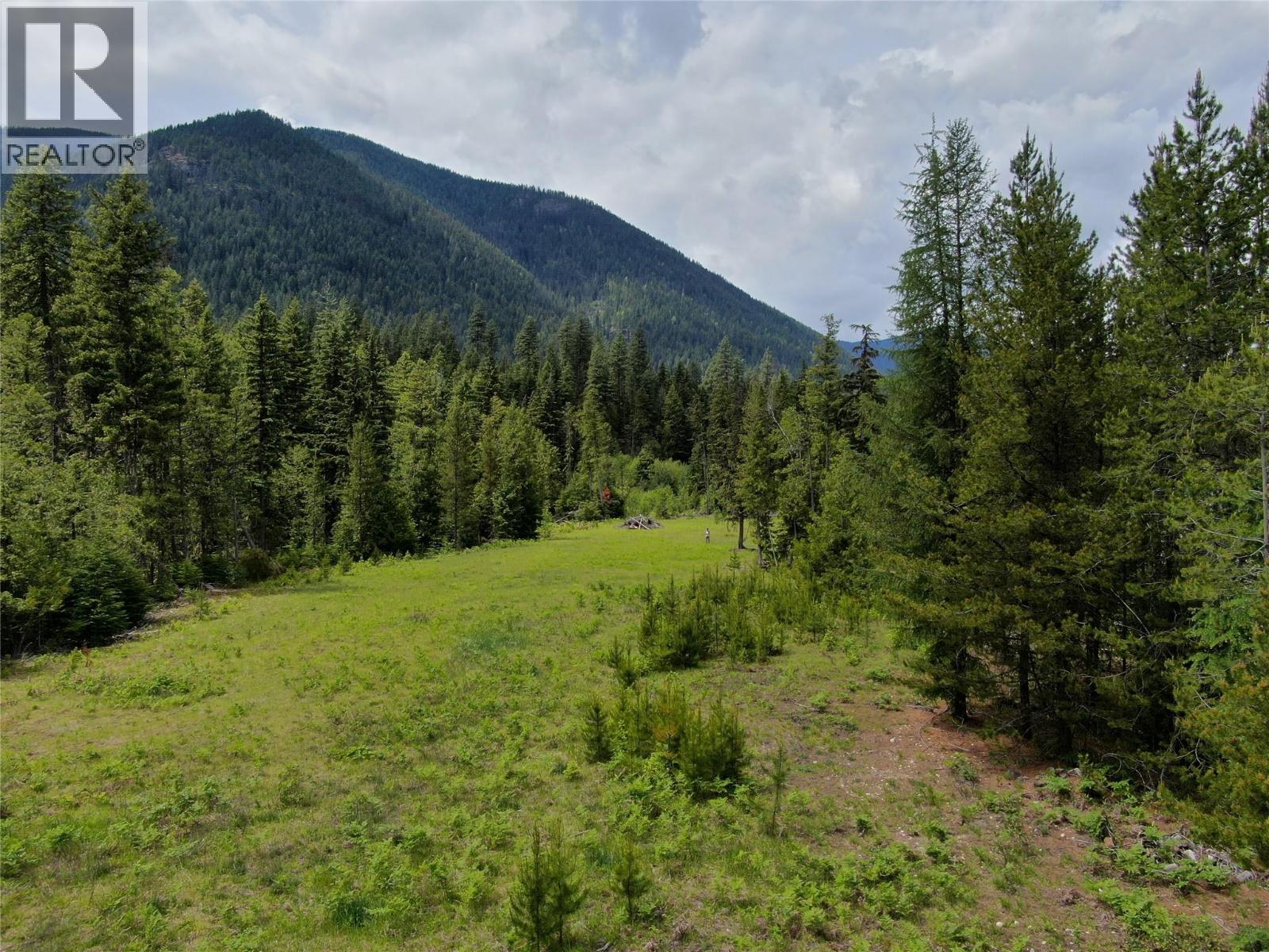 3809 Passmore Upper Road, Passmore, British Columbia  V1L 2J0 - Photo 3 - 10388519
