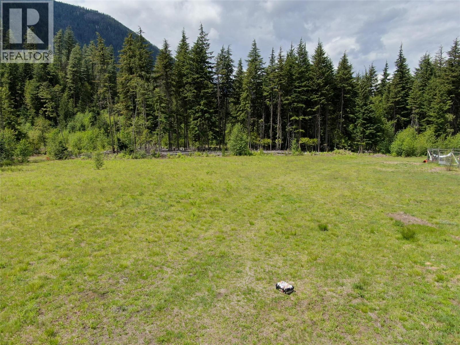 3809 Passmore Upper Road, Passmore, British Columbia  V1L 2J0 - Photo 18 - 10388519