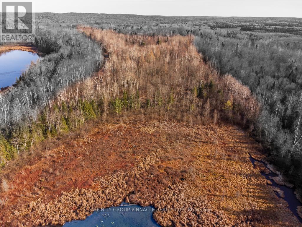 Lot 8 Comfort Drive, Highlands East, Ontario K0M 1R0 - Photo 4 - X13664142