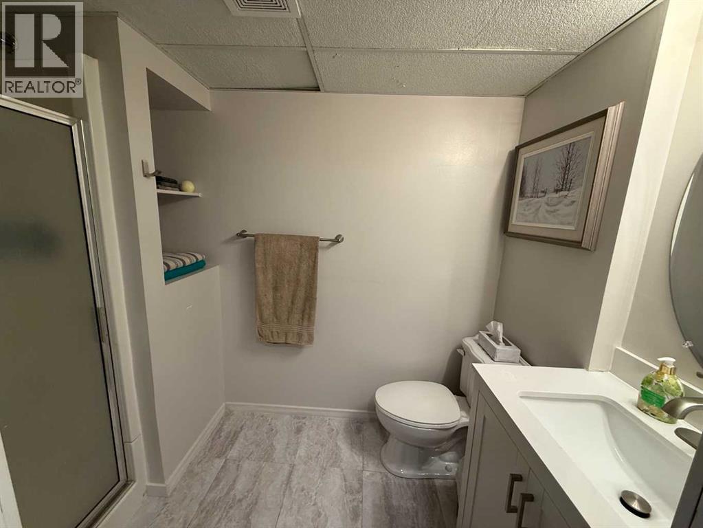 4606 50 Avenue, Vermilion, Alberta  T9X 1R5 - Photo 27 - A2289205