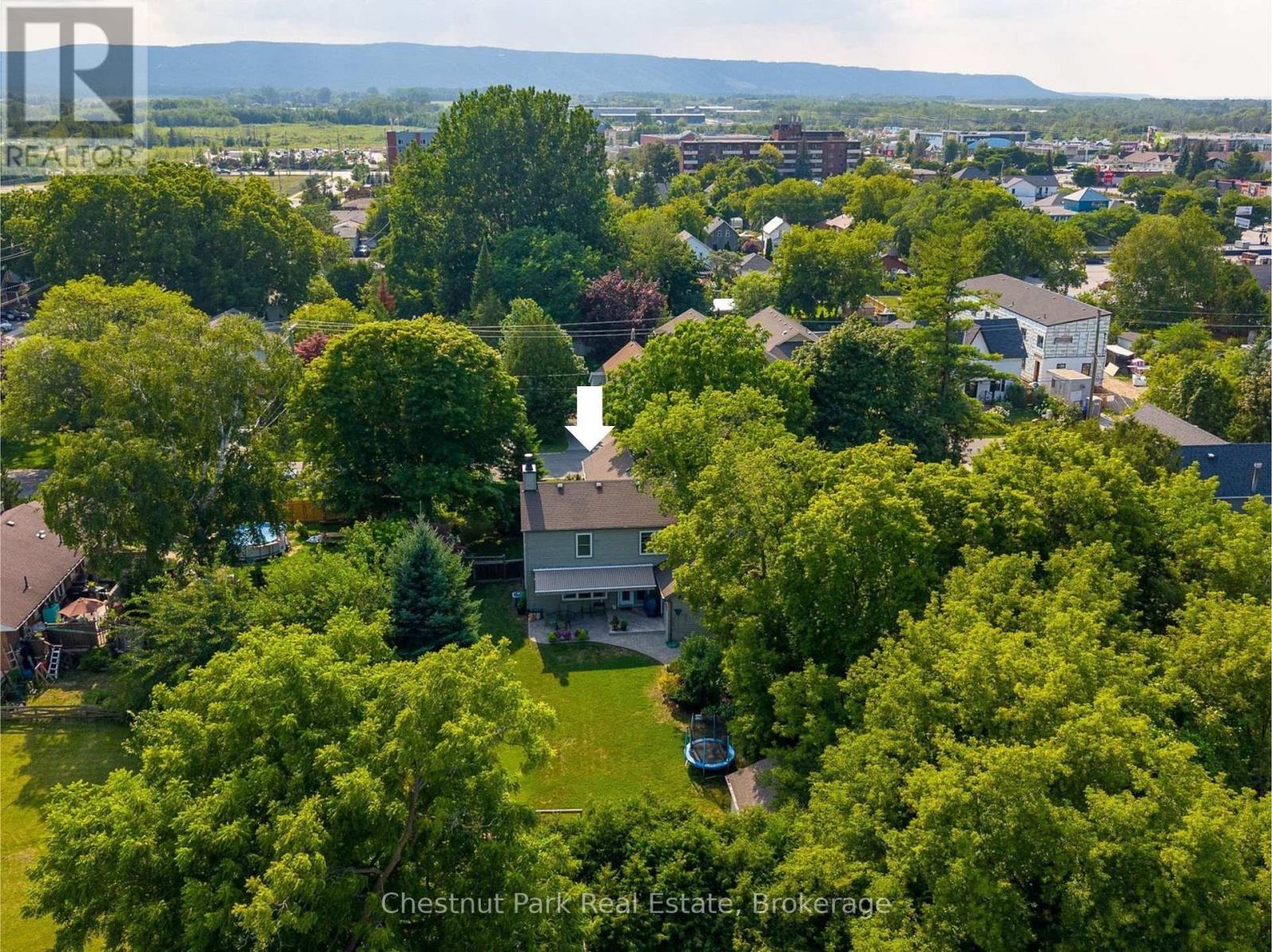 71 Hickory Street, Collingwood, Ontario  L9Y 3E7 - Photo 49 - S13664168