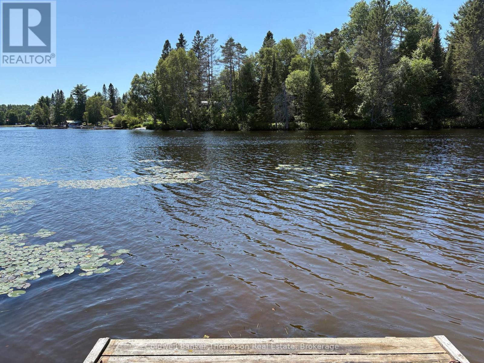 109 Patrick Street, Magnetawan, Ontario  P0A 1P0 - Photo 22 - X13664192