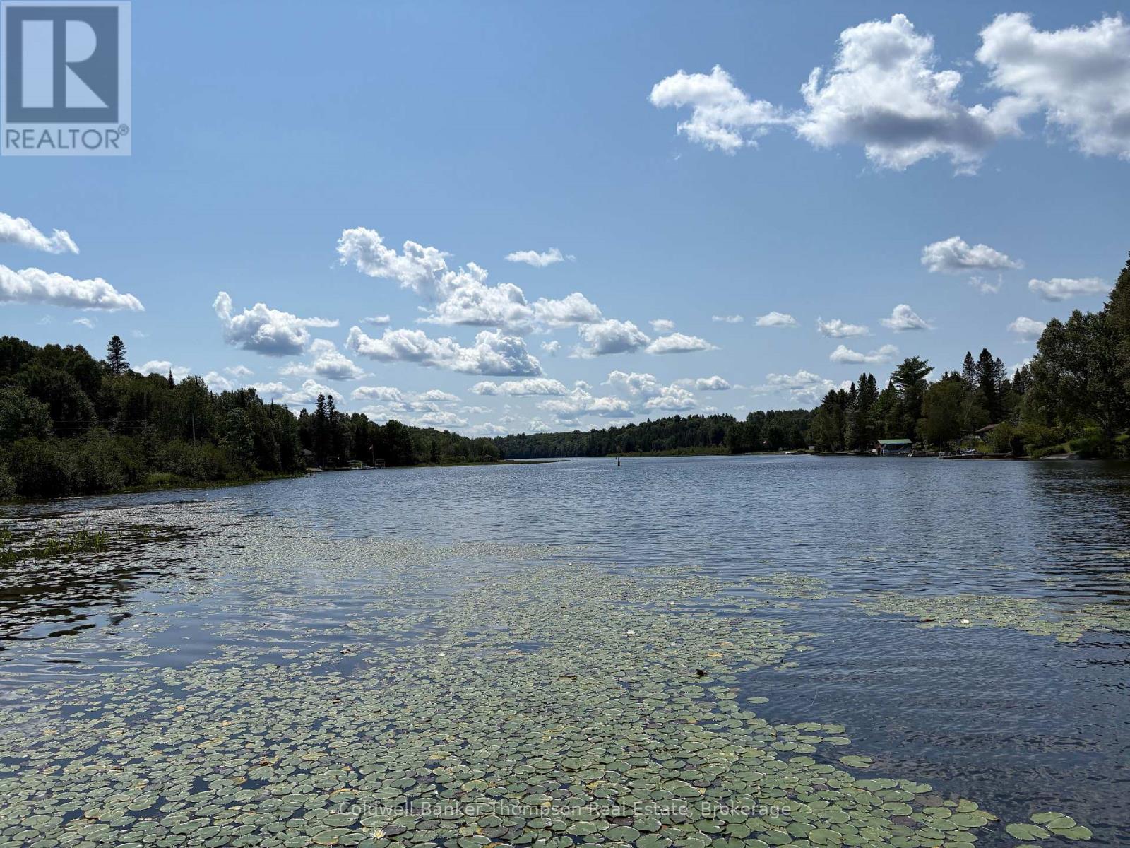 109 Patrick Street, Magnetawan, Ontario  P0A 1P0 - Photo 23 - X13664192