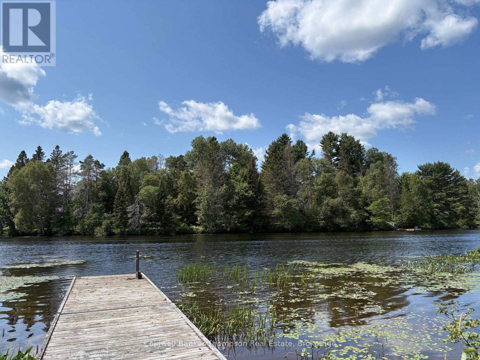 109 Patrick Street, Magnetawan, Ontario  P0A 1P0 - Photo 25 - X13664192