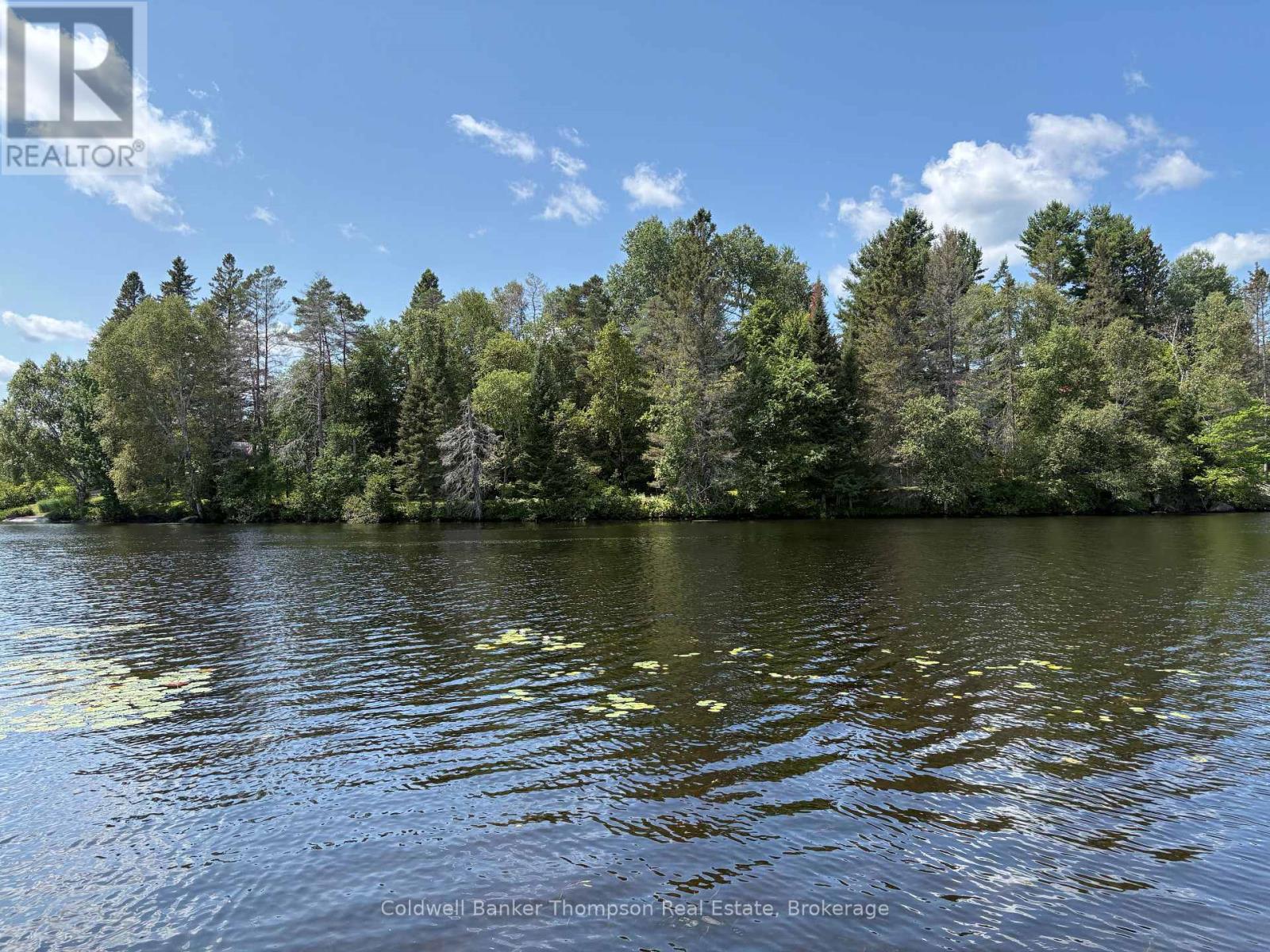 109 Patrick Street, Magnetawan, Ontario  P0A 1P0 - Photo 3 - X13664192
