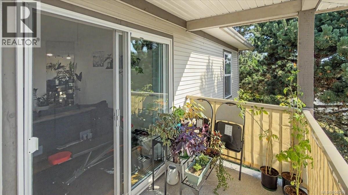 202 2525 Fitzgerald Ave, Courtenay, British Columbia  V9N 6J4 - Photo 14 - 1046288
