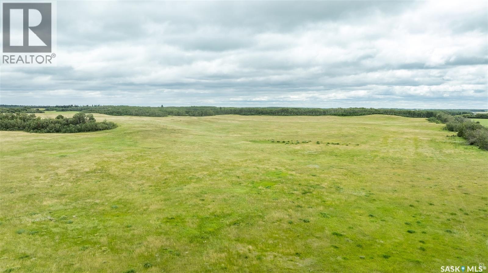 Rm Of Shellbrook Farmland, Shellbrook Rm No. 493, Saskatchewan  S0J 2E0 - Photo 3 - SK045249