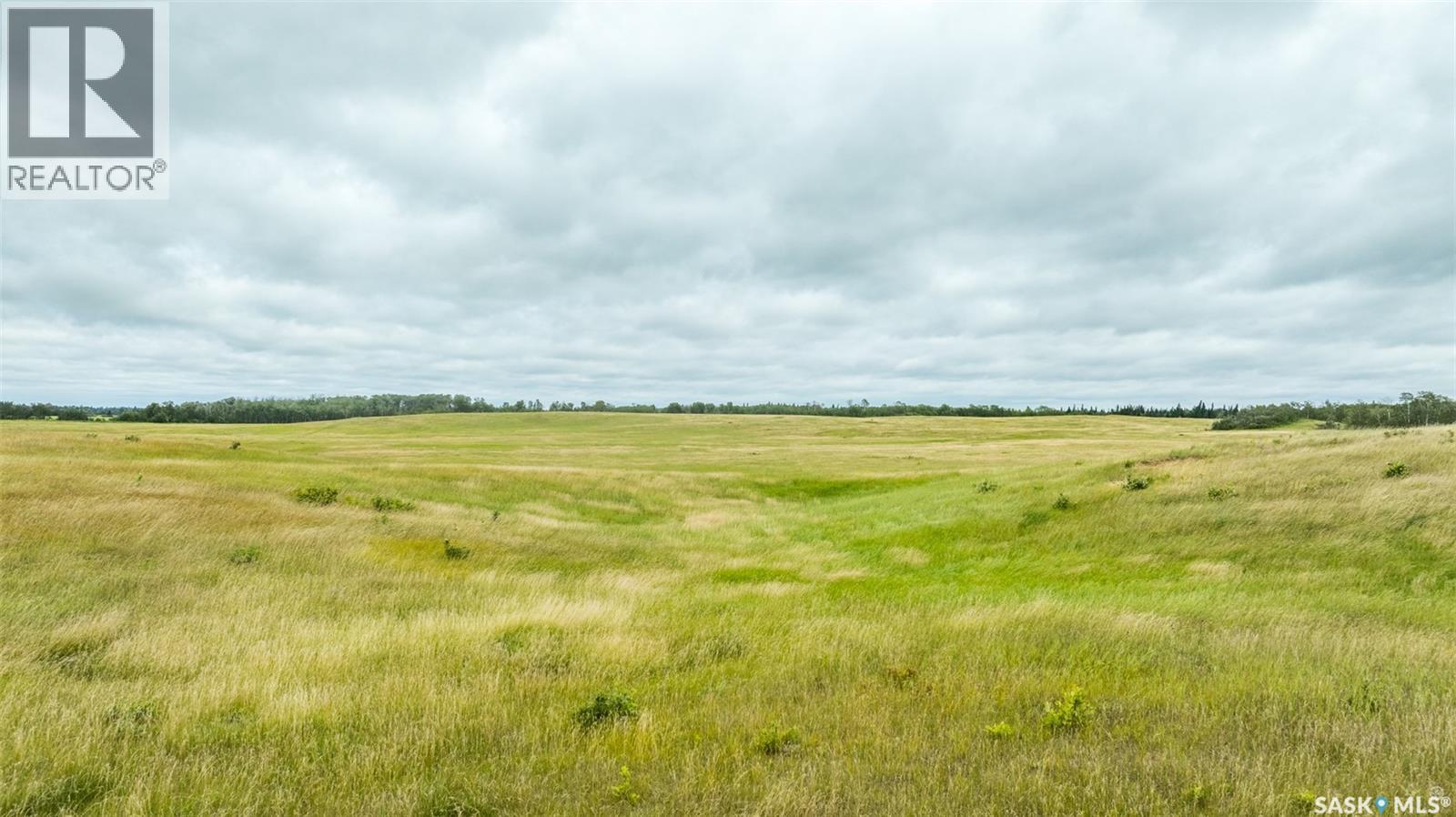 Rm Of Shellbrook Farmland, Shellbrook Rm No. 493, Saskatchewan  S0J 2E0 - Photo 4 - SK045249