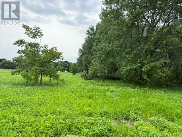 0 Merwin Lane, Prescott, Ontario  K0E 1T0 - Photo 10 - X13465650
