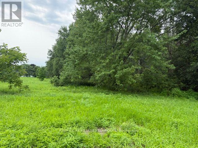 0 Merwin Lane, Prescott, Ontario  K0E 1T0 - Photo 9 - X13465650