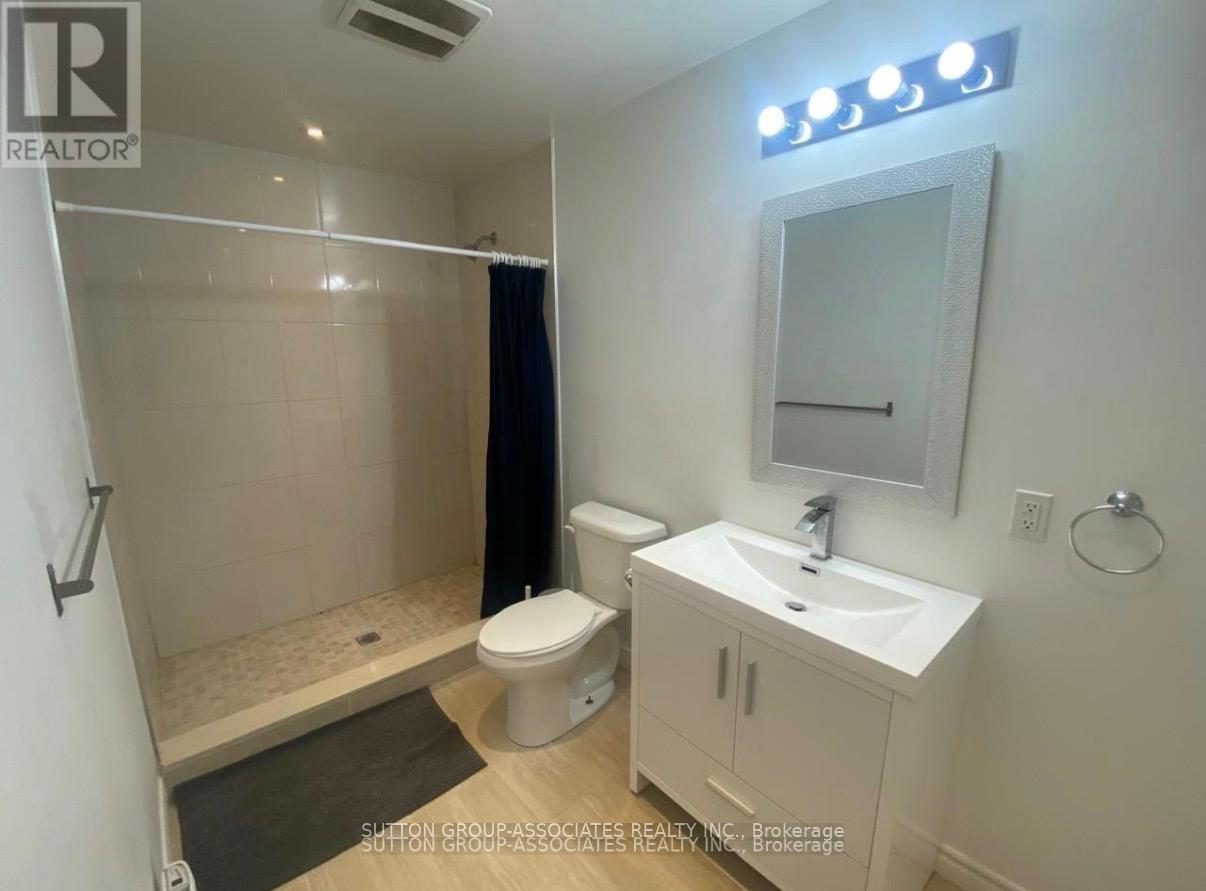 Lower - 125 Walmer Road, Toronto, Ontario  M5R 2X8 - Photo 6 - C13664344