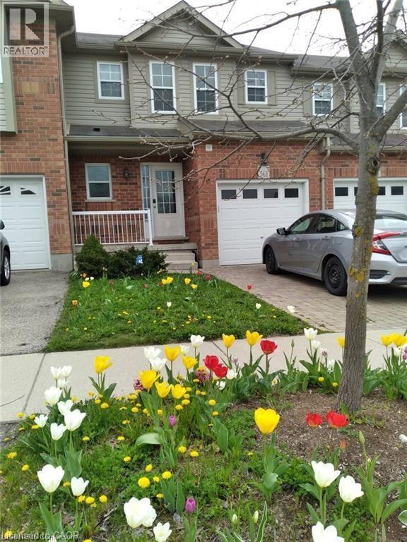 563 CHABLIS Drive, Waterloo, Ontario