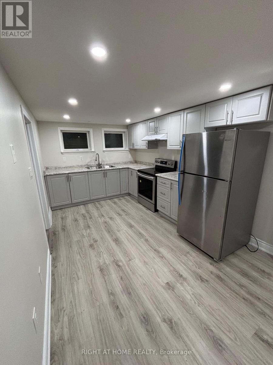 Lower - 3574 Ash Row Crescent, Mississauga, Ontario  L5L 1K4 - Photo 12 - W13664420