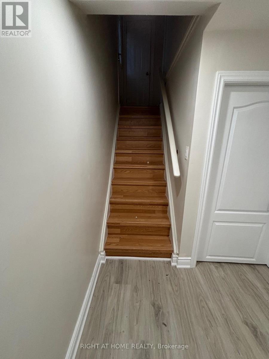 Lower - 3574 Ash Row Crescent, Mississauga, Ontario  L5L 1K4 - Photo 13 - W13664420