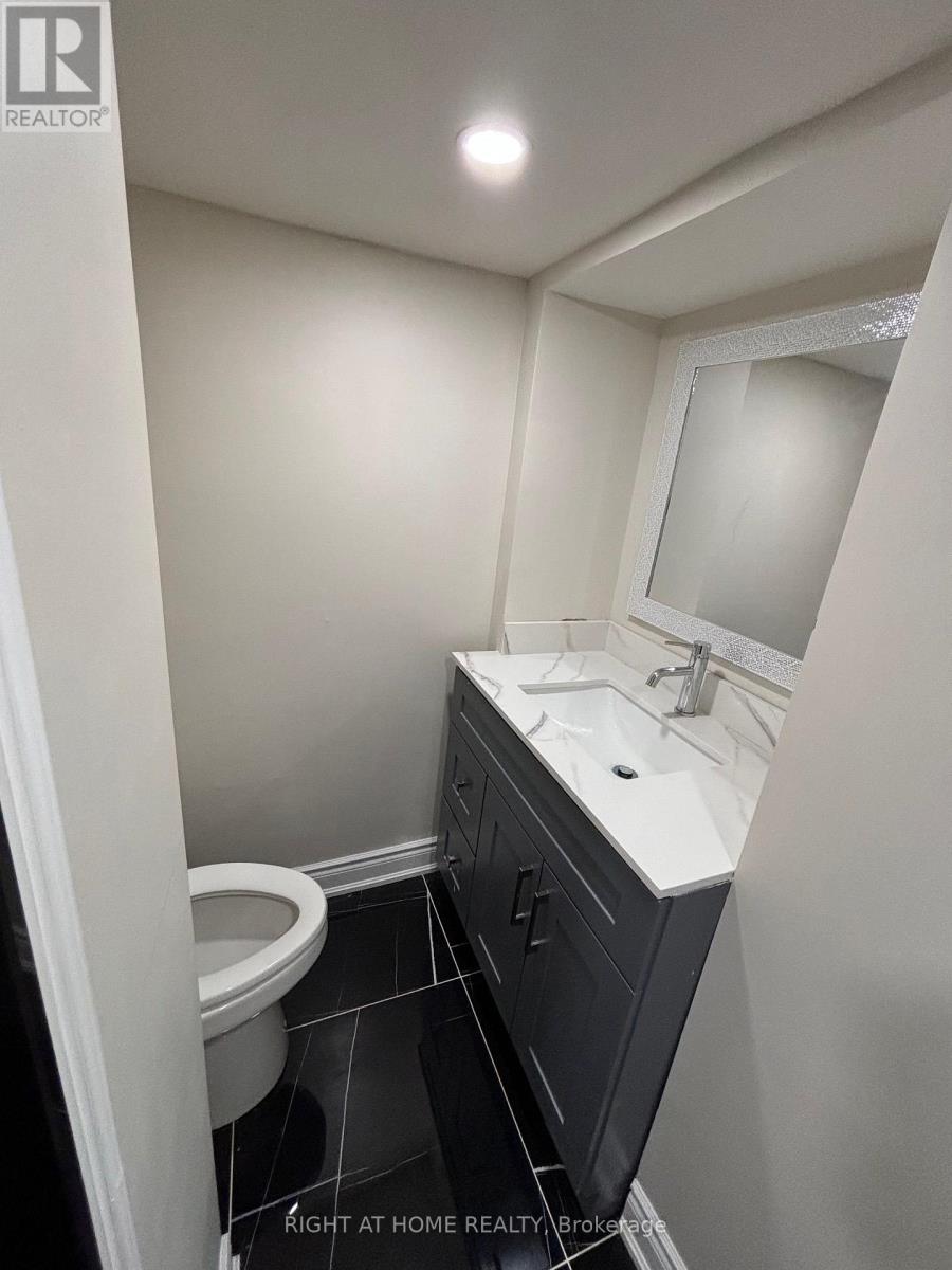 Lower - 3574 Ash Row Crescent, Mississauga, Ontario  L5L 1K4 - Photo 14 - W13664420