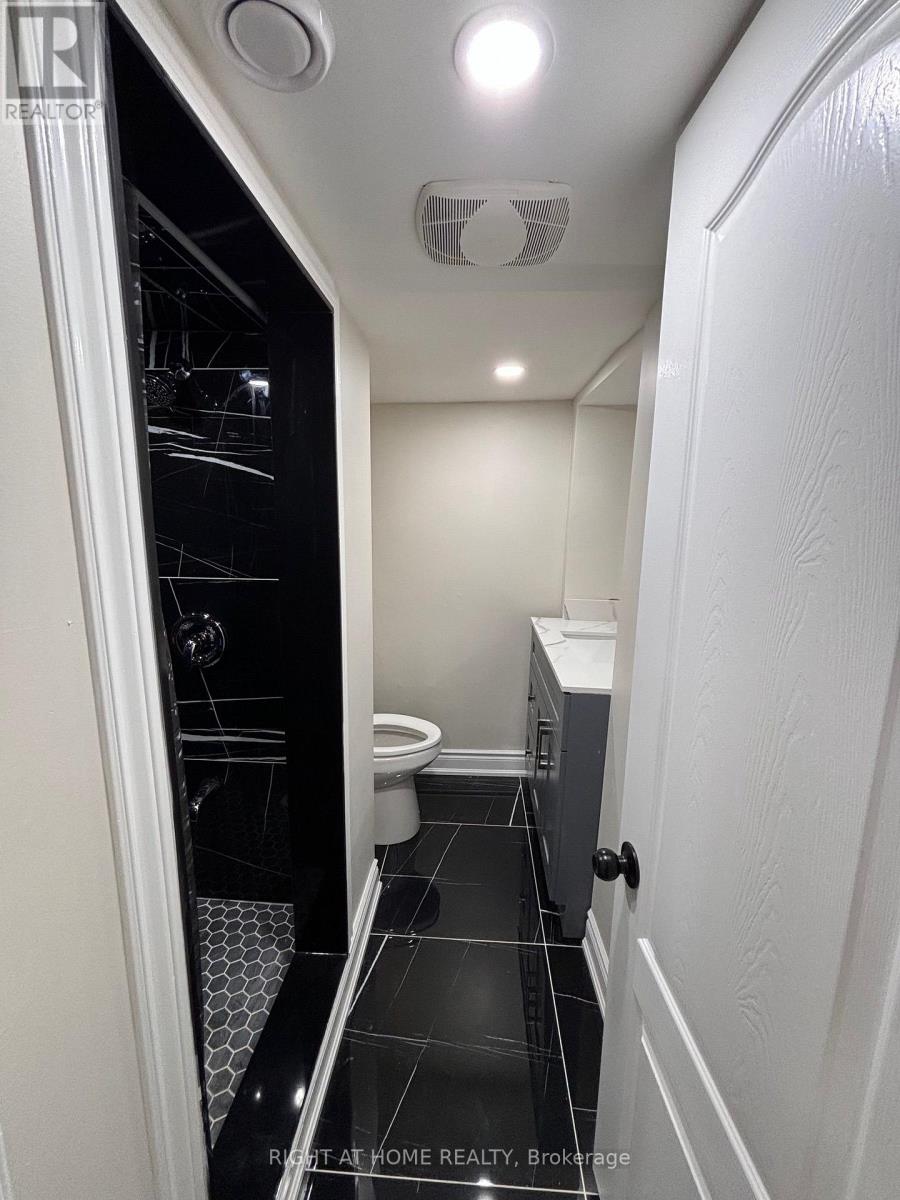 Lower - 3574 Ash Row Crescent, Mississauga, Ontario  L5L 1K4 - Photo 15 - W13664420
