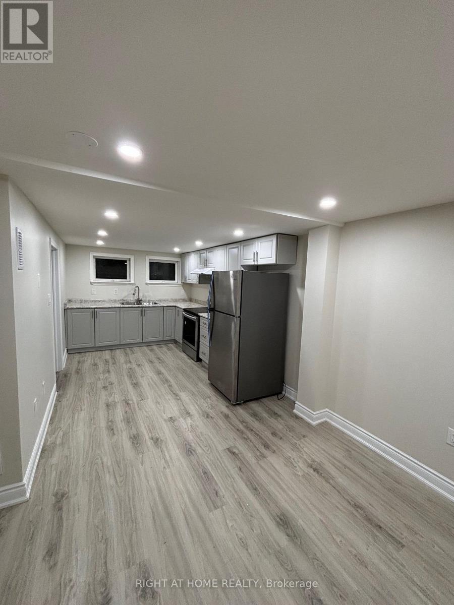 Lower - 3574 Ash Row Crescent, Mississauga, Ontario  L5L 1K4 - Photo 3 - W13664420