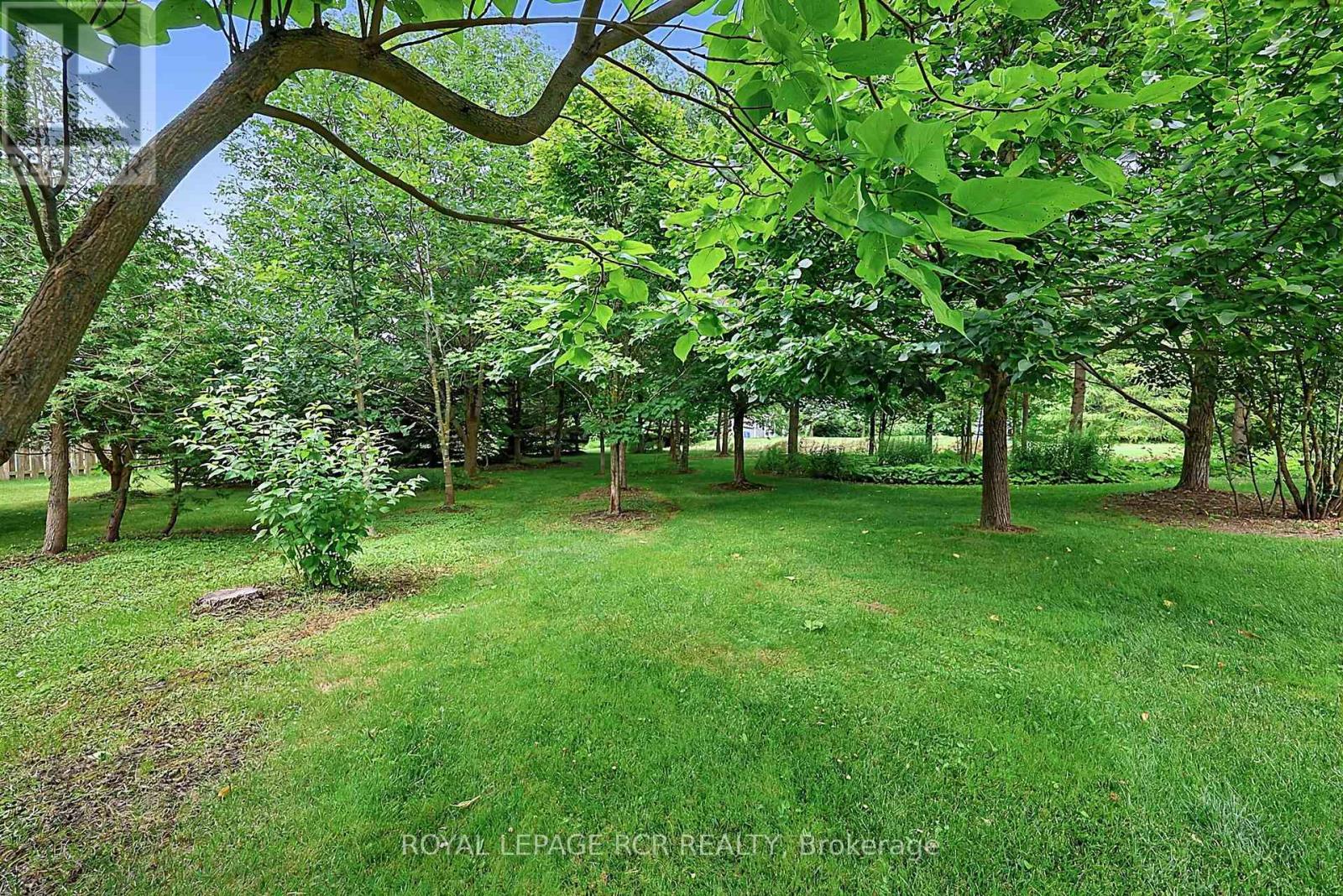 12 Peter Street, Amaranth, Ontario L9W 5Z1 - Photo 38 - X13664354