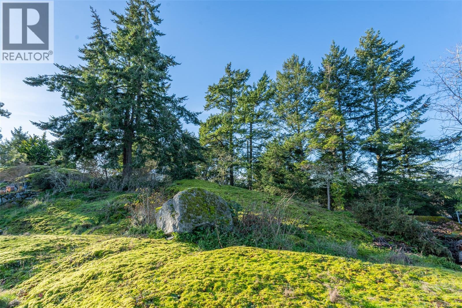 310 Bessborough Ave, View Royal, British Columbia  V9B 1T7 - Photo 33 - 1044188