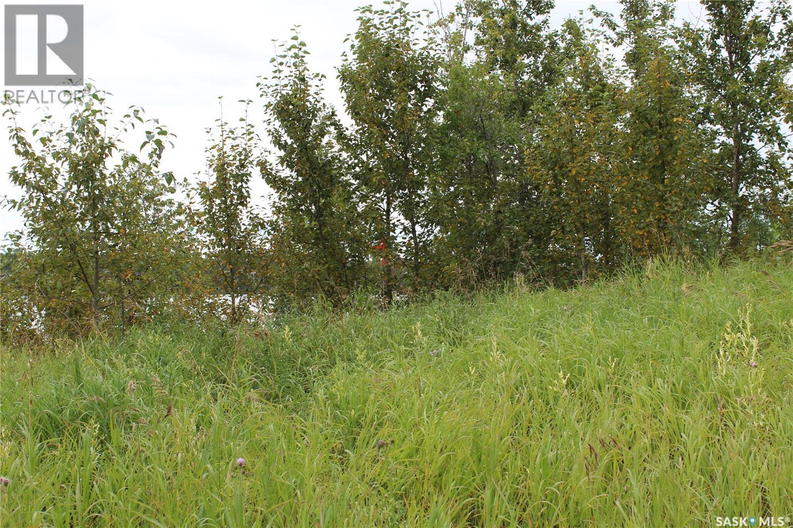 301 Boissiere Drive, Lenore Lake, Saskatchewan  S0K 3V0 - Photo 22 - SK045275