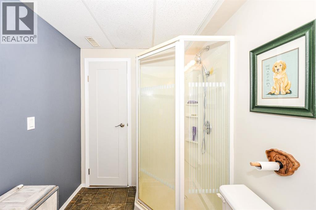 20319 Township Road 382, Rural Stettler No. 6, Alberta  T0C 2L0 - Photo 34 - A2336332