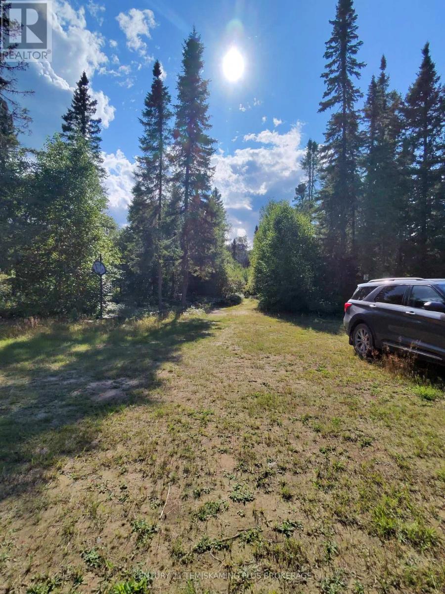 91927 Loonlake Drive, Cobalt, Ontario  P0J 1C0 - Photo 3 - N13575246