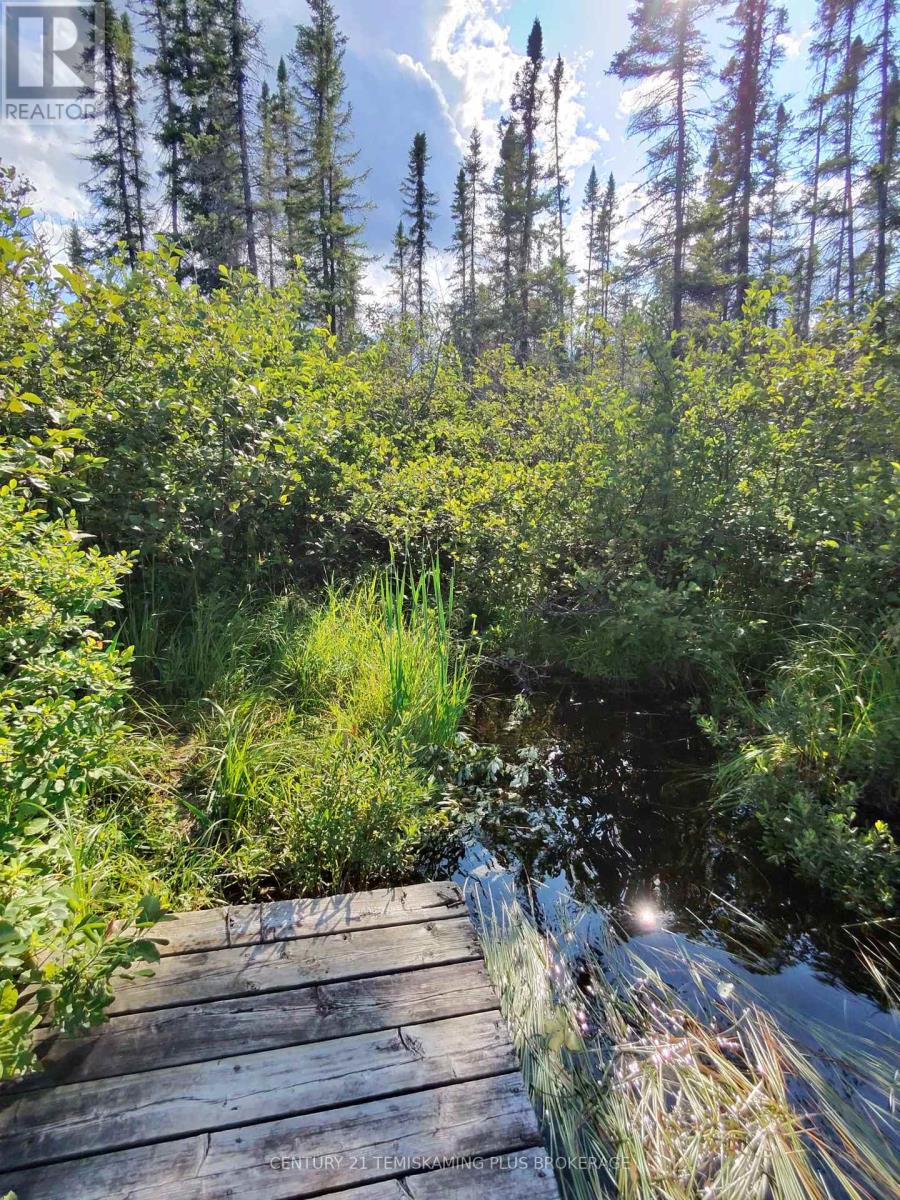 91927 Loonlake Drive, Cobalt, Ontario  P0J 1C0 - Photo 13 - N13575246