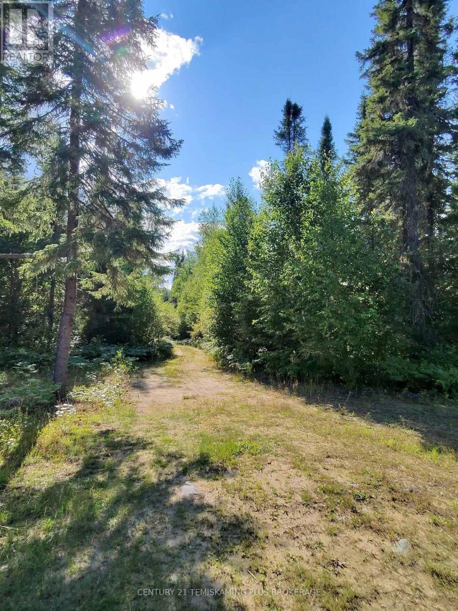 91927 Loonlake Drive, Cobalt, Ontario  P0J 1C0 - Photo 21 - N13575246