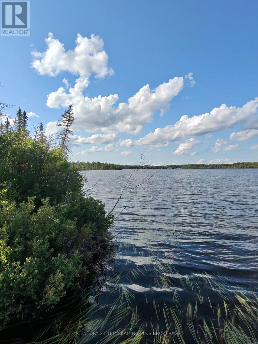 91927 Loonlake Drive, Cobalt, Ontario  P0J 1C0 - Photo 12 - N13575246