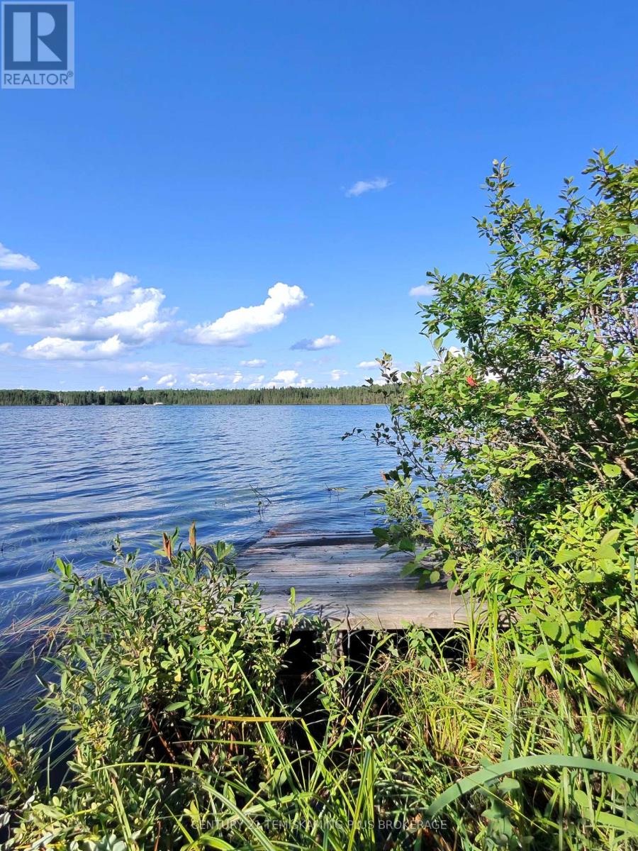 91927 Loonlake Drive, Cobalt, Ontario  P0J 1C0 - Photo 14 - N13575246