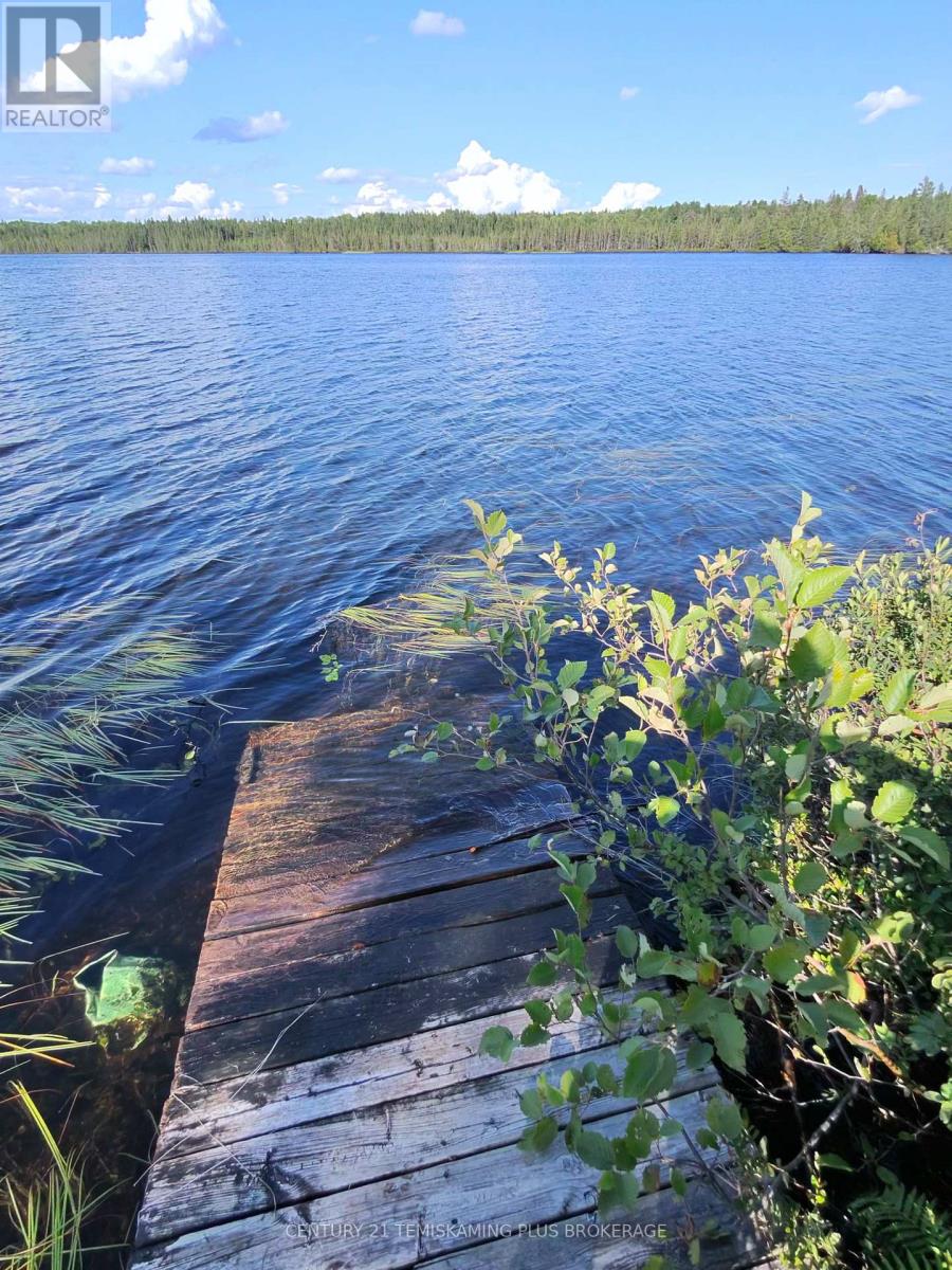 91927 Loonlake Drive, Cobalt, Ontario  P0J 1C0 - Photo 10 - N13575246