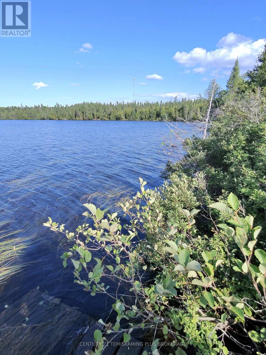 91927 Loonlake Drive, Cobalt, Ontario  P0J 1C0 - Photo 11 - N13575246