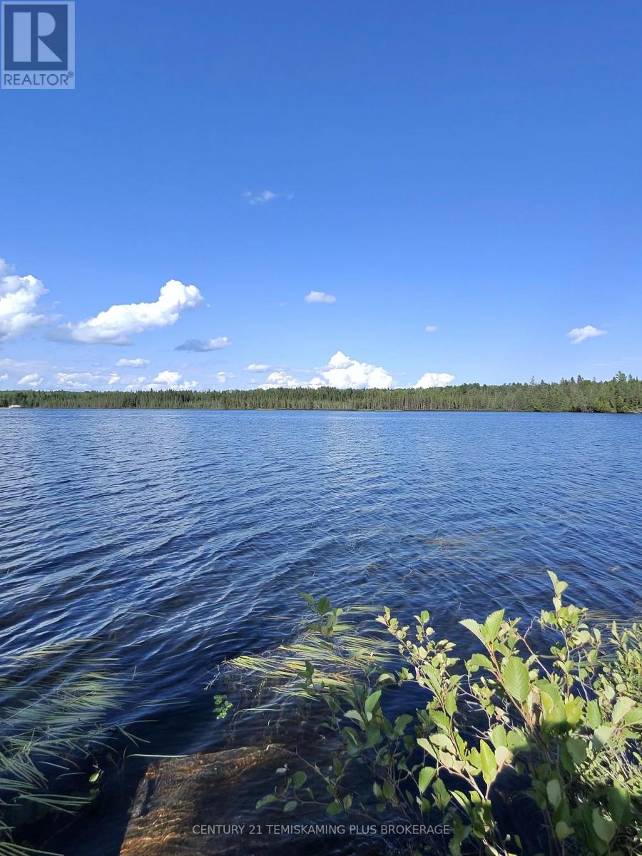 91927 Loonlake Drive, Cobalt, Ontario  P0J 1C0 - Photo 9 - N13575246