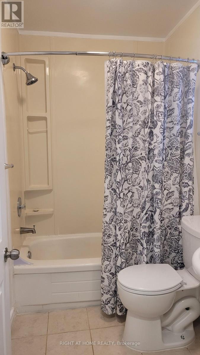 298 Montfort Street, Ottawa, Ontario  K1L 5N6 - Photo 19 - X13664754