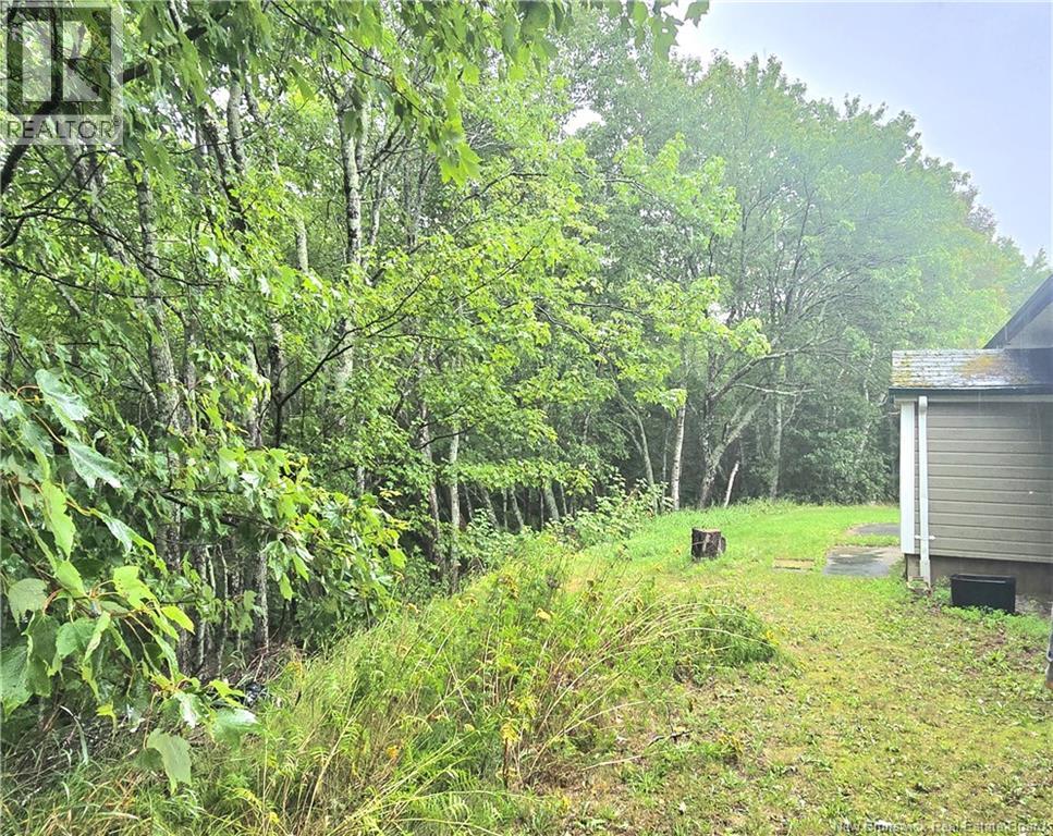 11 Robertson Brook Road, Brantville, New Brunswick  E9H 1M1 - Photo 36 - NB145652