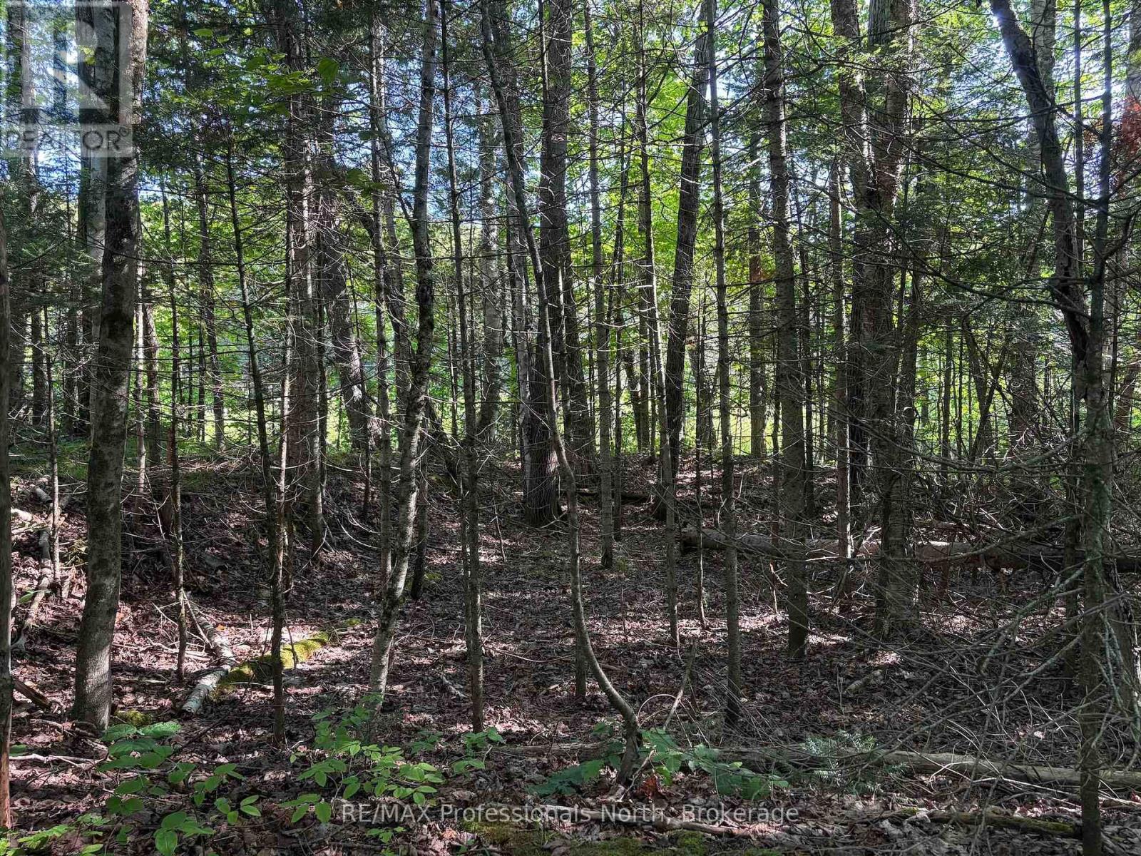 0 Parish Line Road, Dysart Et Al, Ontario  K0M 1S0 - Photo 11 - X13664842