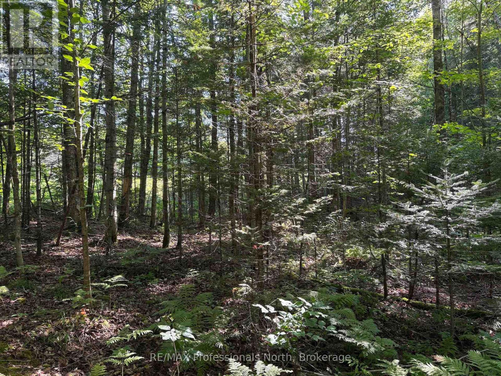 0 Parish Line Road, Dysart Et Al, Ontario  K0M 1S0 - Photo 15 - X13664842