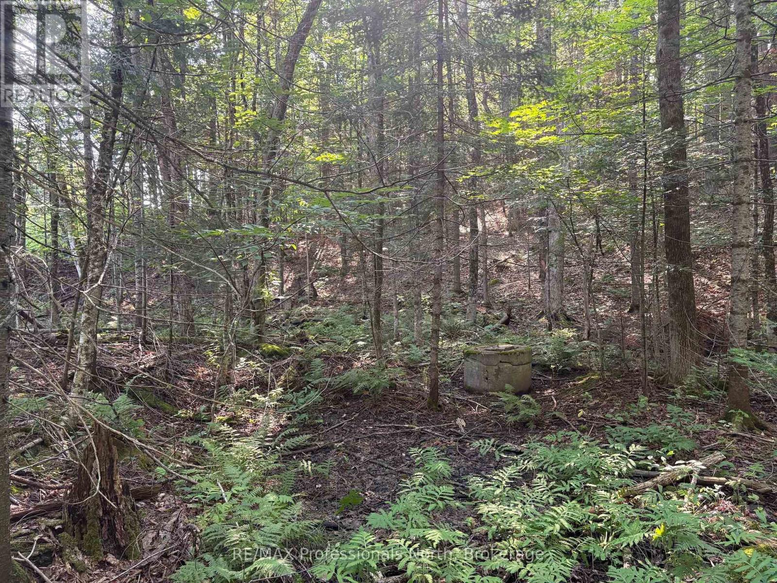 0 Parish Line Road, Dysart Et Al, Ontario  K0M 1S0 - Photo 16 - X13664842