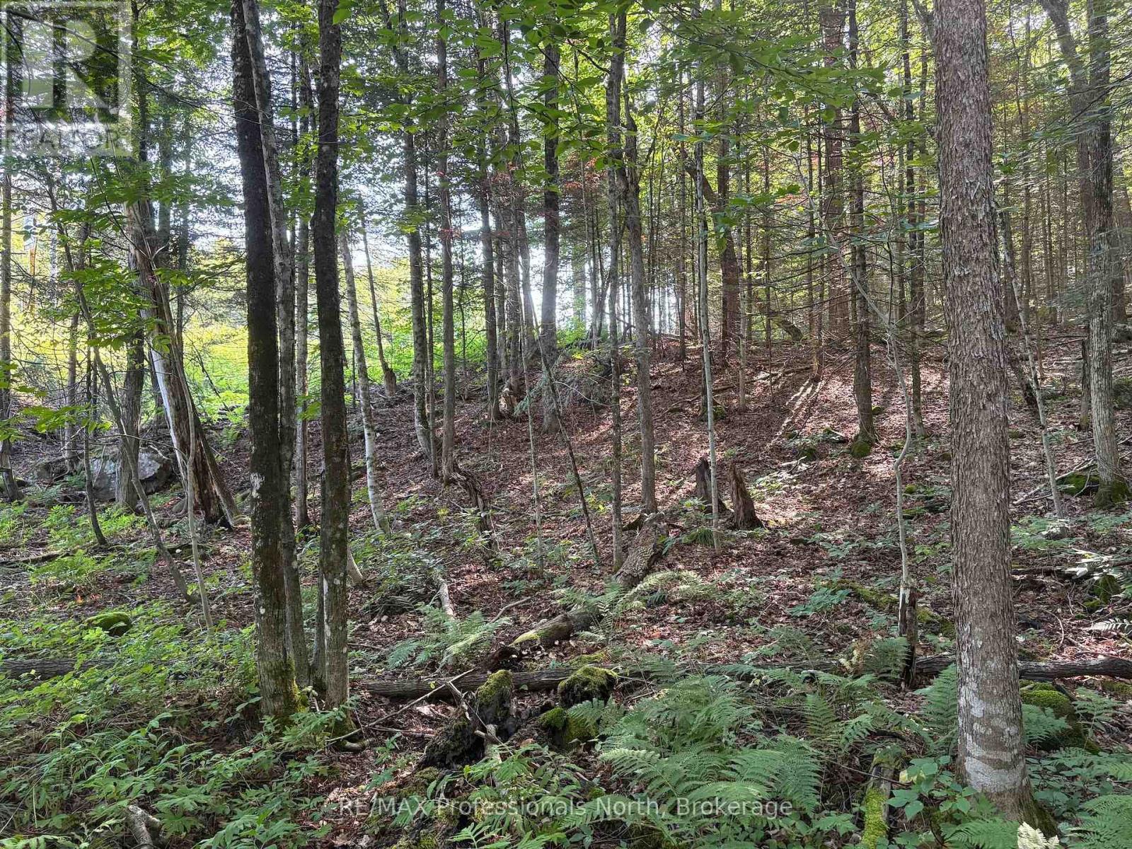 0 Parish Line Road, Dysart Et Al, Ontario  K0M 1S0 - Photo 17 - X13664842