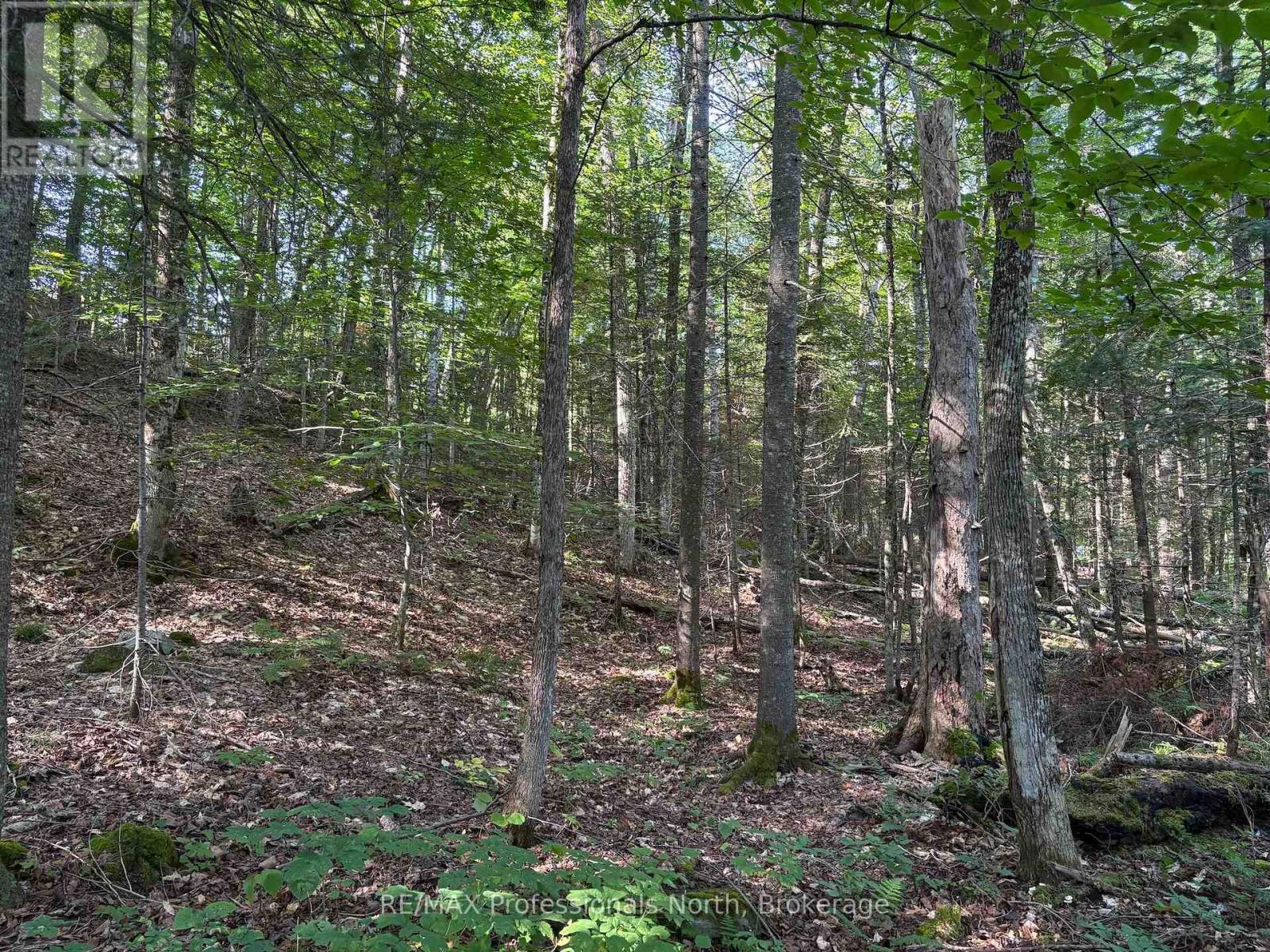 0 Parish Line Road, Dysart Et Al, Ontario  K0M 1S0 - Photo 18 - X13664842