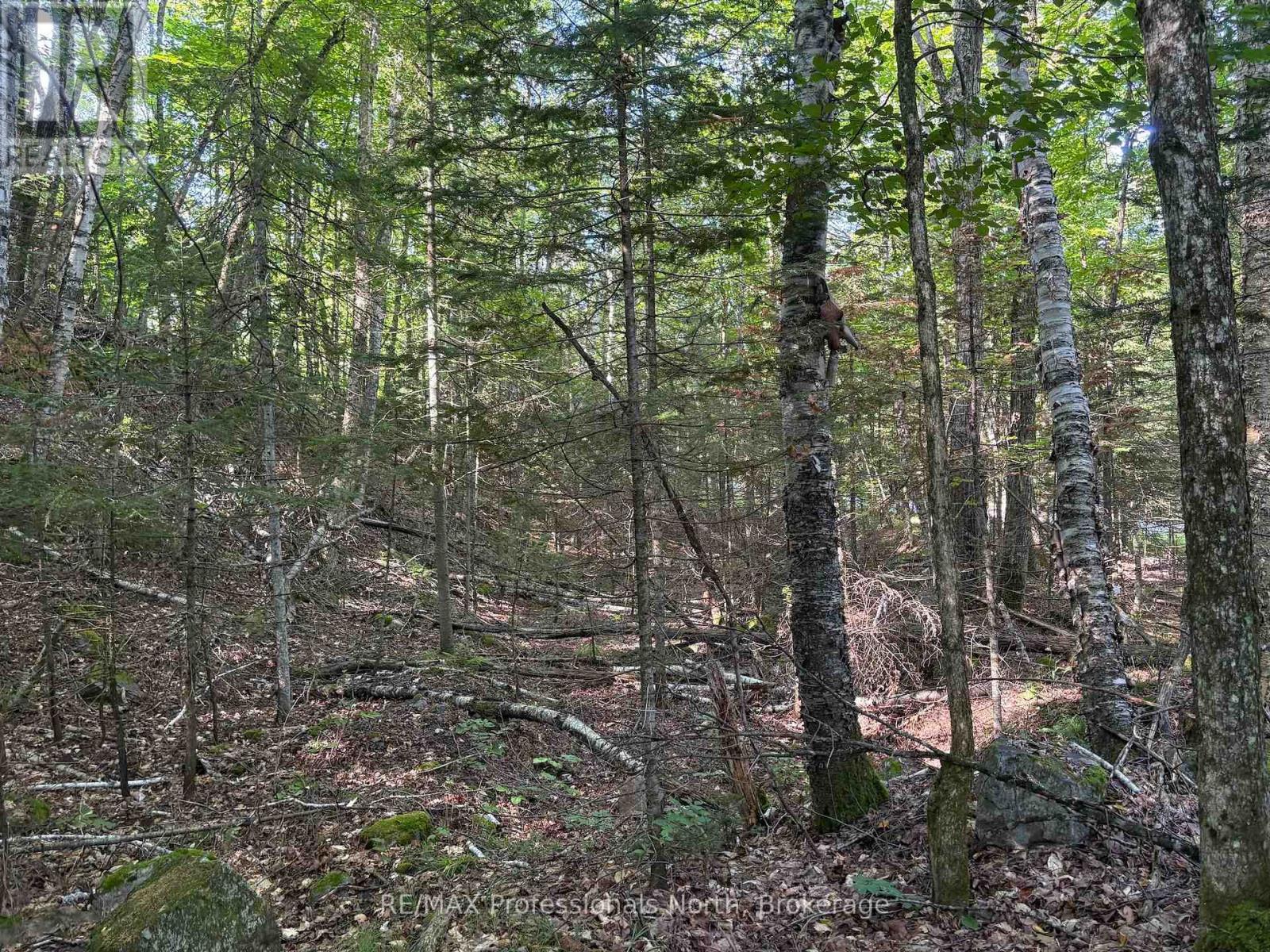 0 Parish Line Road, Dysart Et Al, Ontario  K0M 1S0 - Photo 19 - X13664842