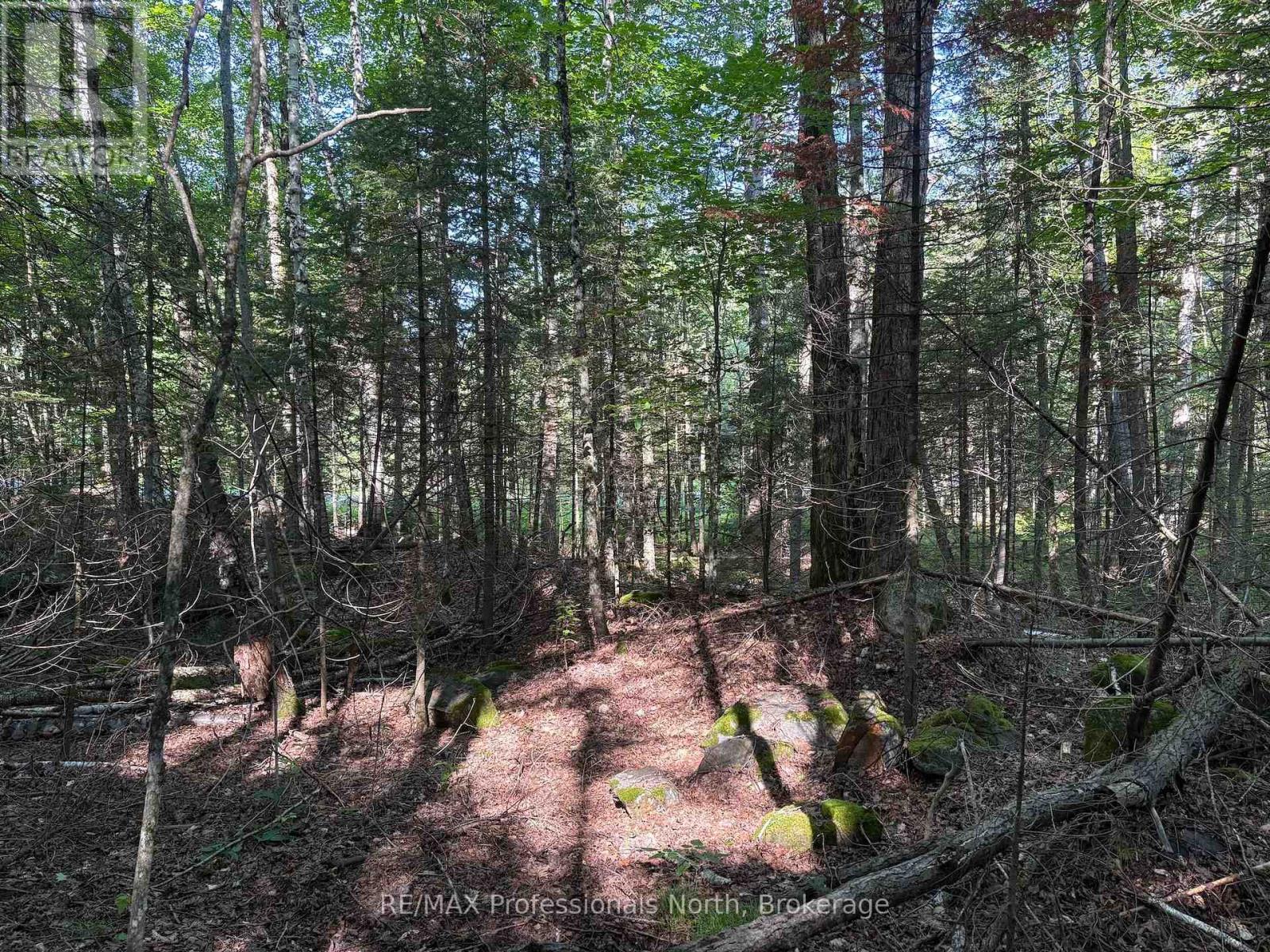 0 Parish Line Road, Dysart Et Al, Ontario  K0M 1S0 - Photo 20 - X13664842