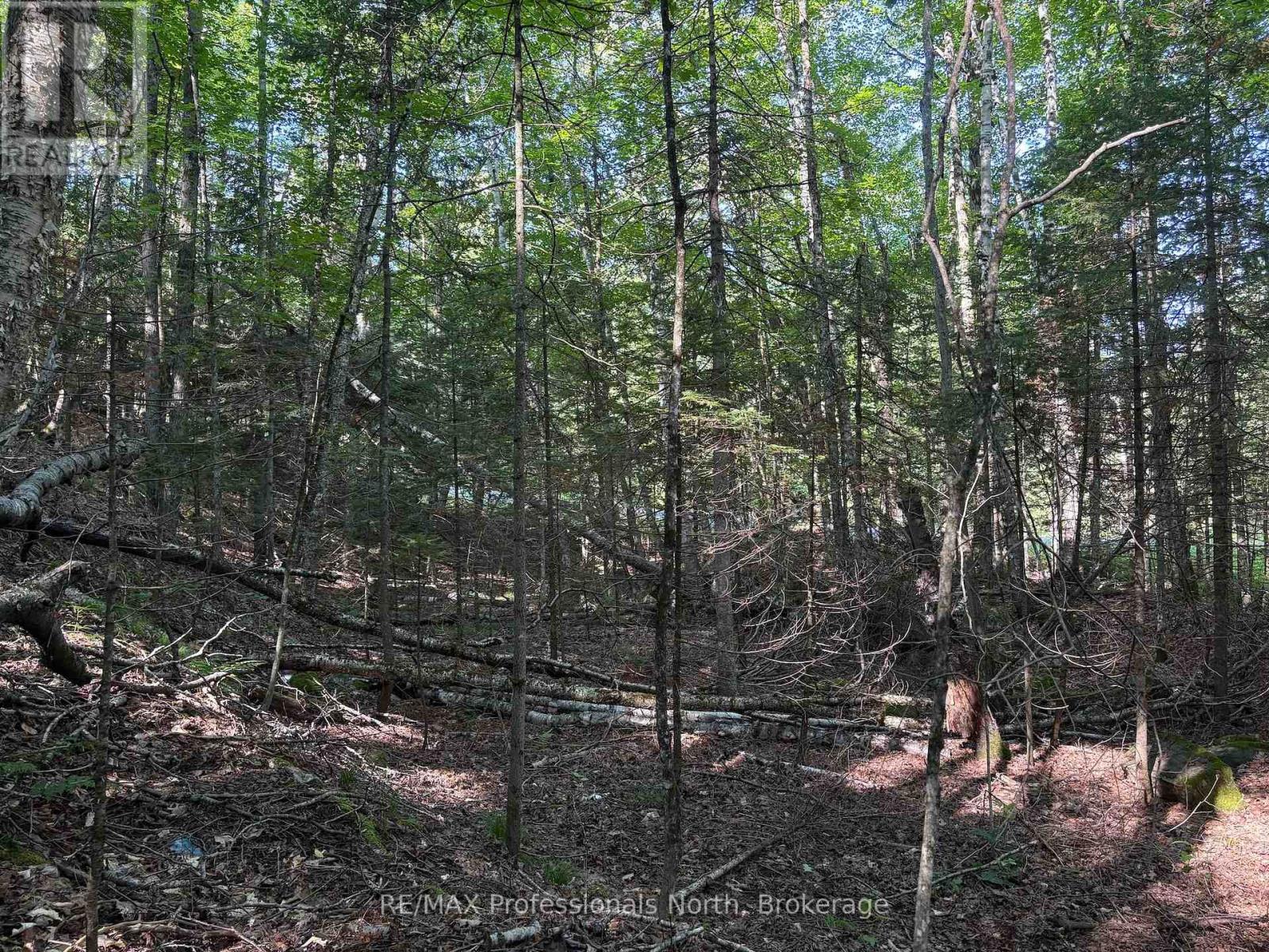 0 Parish Line Road, Dysart Et Al, Ontario  K0M 1S0 - Photo 21 - X13664842